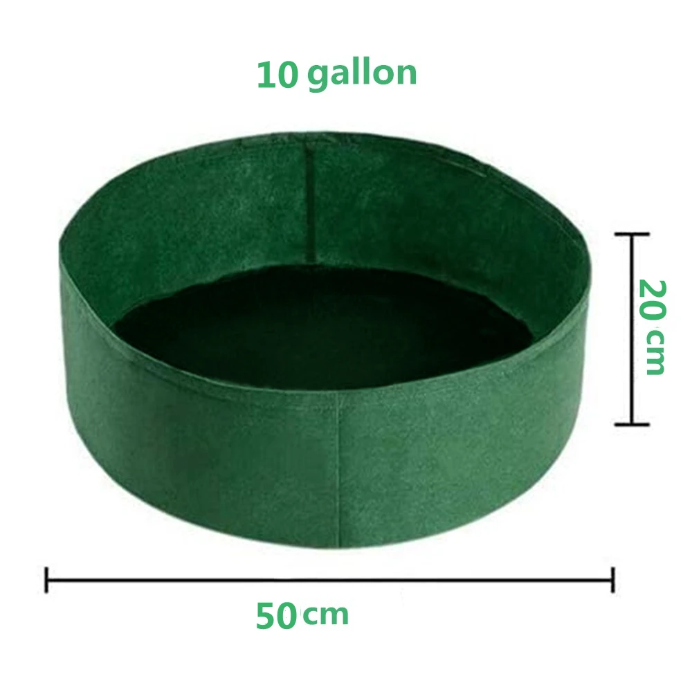 green 10 gallon