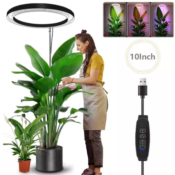 תאורת גידול בספקטרום מלא לצמחים גדולים